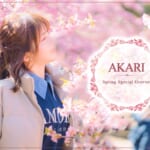 『アカリ』特集：春のスペシャルグラビア